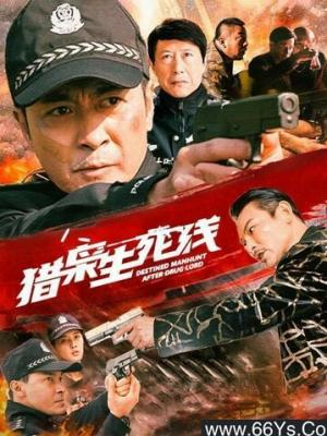 推荐影片